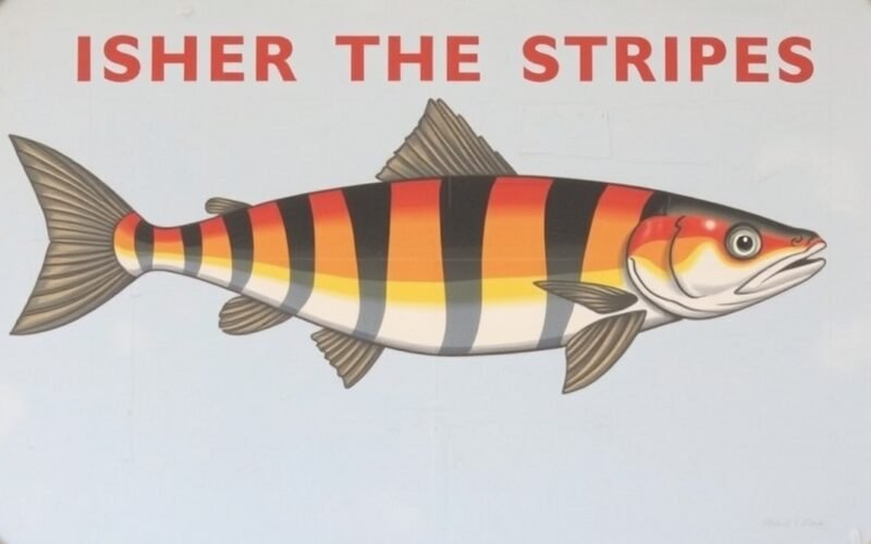 Contact Fisher TheStripesBlog: How to Reach the Team Easily
